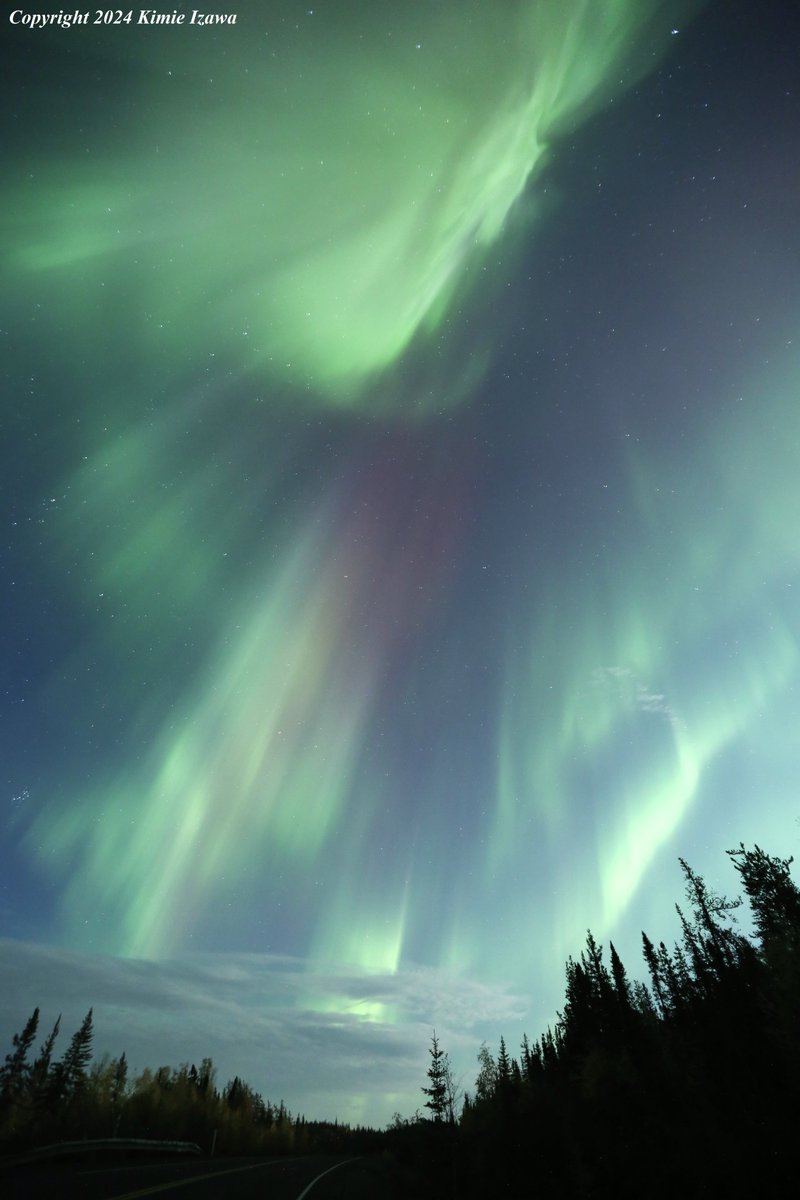 audrey19740719's tweet photo. #Aurora from #Ingrahamtrail #Yellowknife 
Sep 15-16, 2024 Sun-Mon 10:00pm-3:00am
+11℃ Partly cloudy 
#NWT #ExploreNWT #SpectacularNWT #northwestterritory #northernlight #AuroraBorealis 
#イエローナイフ #ノースウェストテリトリー 
#オーロラ #オーロラ姫 #秋オーロラ https://t.co/QAjuDlZdb2