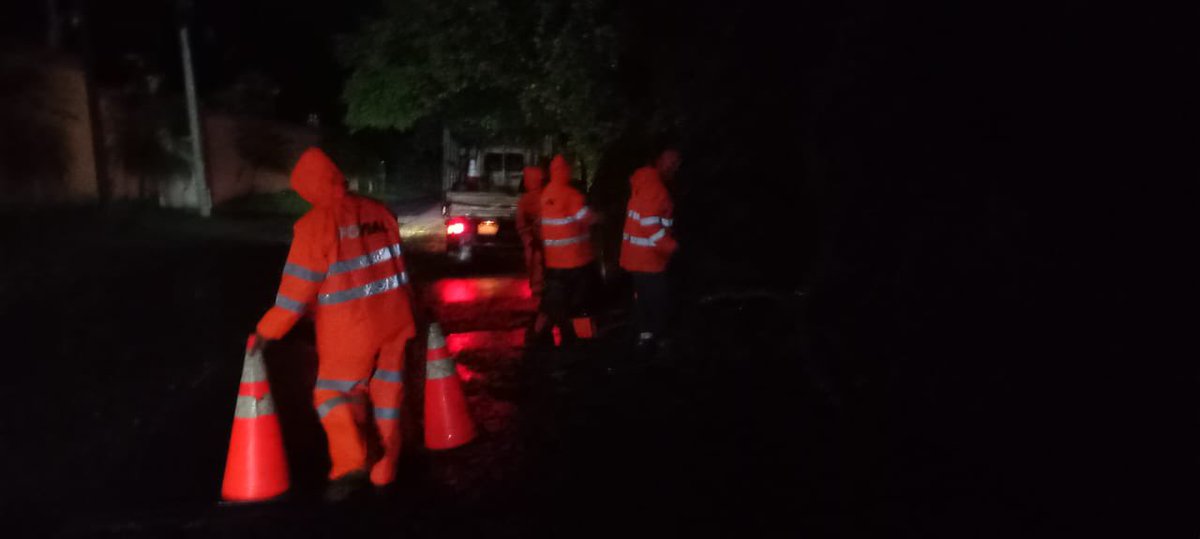 NoticiasRSV's tweet photo. #PlanInvierno2024 |Los cipotones del @FOVIALITO se fueron en guinda a retirar las ramas de un árbol que cayó en la calle hacia Ozatlán, en Usulután. https://t.co/IYXDNylMpX