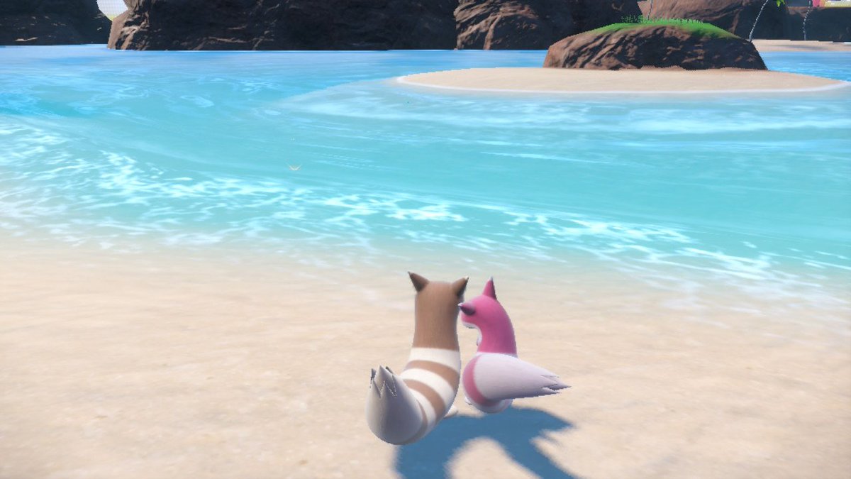 pkmn0162's tweet image. デート風景をご覧下さい