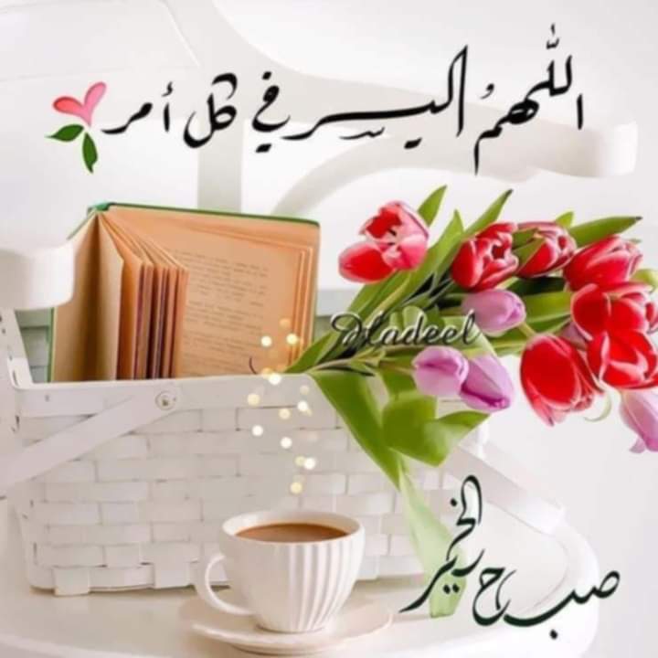 HythmAlnwaysh's tweet photo. @maha8321553 https://t.co/qMODHU1aTZ