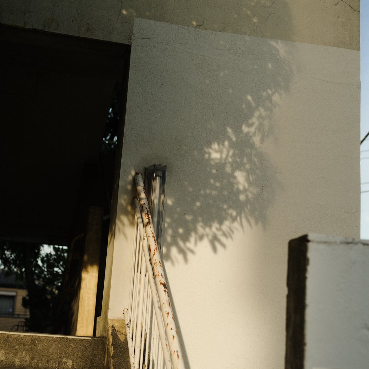 【リリース情報🎉】
1stフルアルバム「シーサイド」を12/4（水）にリリースします！

仕様 : CD・配信
価格：¥2,750(税込)
レーベル : ばら色

収録曲
1明るい話題
2手綱
3会話はもうない
4交差点
5笑う月
6けものみたいな
7トリップ
8幽霊
9シーサイド
10荒野

diskunion.lnk.to/BRMS1004