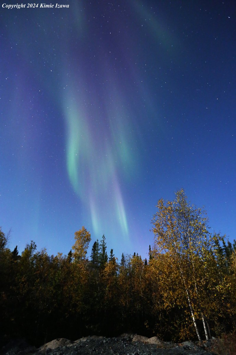 audrey19740719's tweet photo. #Aurora from #Ingrahamtrail #Yellowknife
September 16-17, 2024 Mon-Tue 9:30pm-1:30am
+6℃ Partly cloudy
#NWT #ExploreNWT #SpectacularNWT #northwestterritory #northernlight #AuroraBorealis
#イエローナイフ #ノースウェストテリトリー
#オーロラ #オーロラ姫 #秋オーロラ https://t.co/PsTGzoVUNF