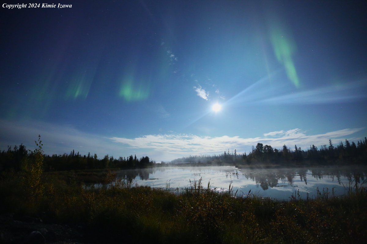 audrey19740719's tweet photo. #Aurora from #Ingrahamtrail #Yellowknife
September 16-17, 2024 Mon-Tue 9:30pm-1:30am
+6℃ Partly cloudy
#NWT #ExploreNWT #SpectacularNWT #northwestterritory #northernlight #AuroraBorealis
#イエローナイフ #ノースウェストテリトリー
#オーロラ #オーロラ姫 #秋オーロラ https://t.co/PsTGzoVUNF