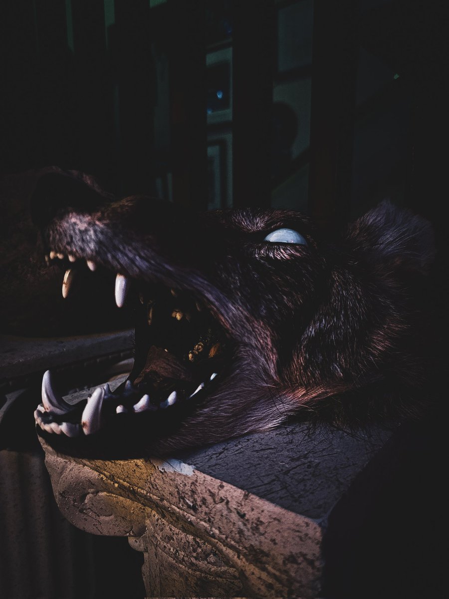 Next video is...different 😬