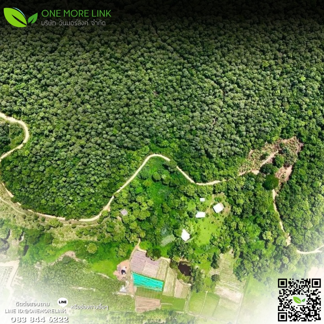 onemorelink's tweet photo. มูลนิธิแม่ฟ้าหลวง ชี้ปลูกป่า-ปลูกคน ทางรอดหายนะภัยธรรมชาติ
#savegamin #โลกหมุนรอบเธอEP18 #เงินดิจิทัล #ครูเบญ #น้ําท่วมพะเยา #คัลแลนพี่จอง
#วันมอร์ลิงค์ #onemorelink #บริการรับกำจัดกากอุตสาหกรรม #สิ่งแวดล้อม #ข่าววันนี้ #ความรู้ทั่วไป #CEORAPATSORN #ประเทศไทย https://t.co/toHlYt7dGq