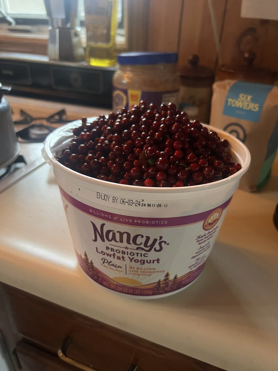 emily sullivan tweet media