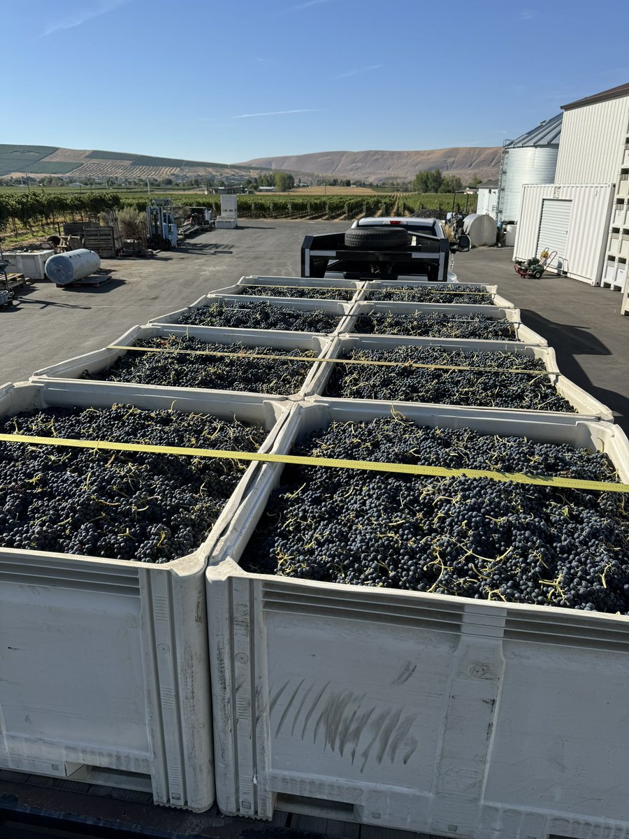 Liberty Lake Wine (@libertylake.bsky.social) tweet media