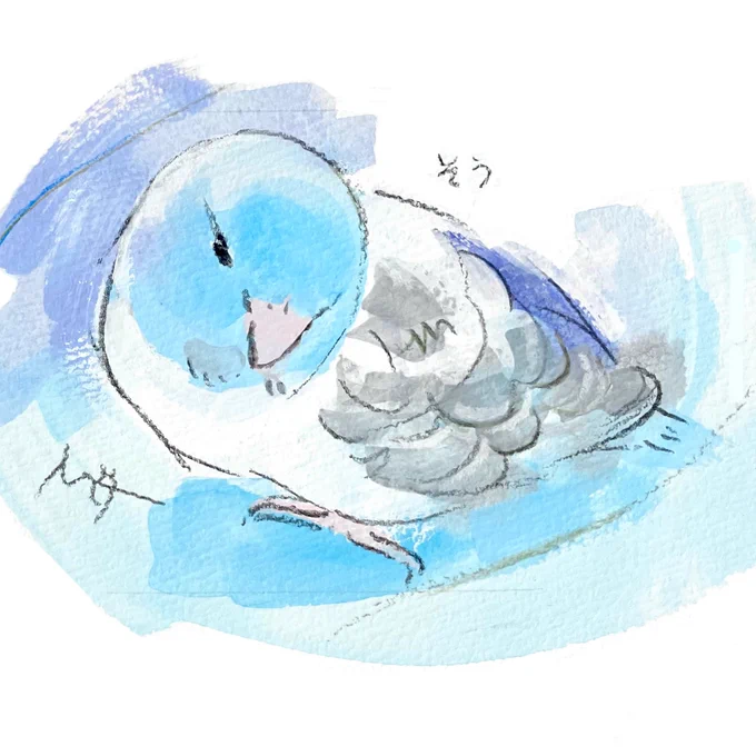 #ことりマーケット大阪 オーダーイラストのご紹介ブルーの配色が美しいマメルリハさんです※会期は終了しました 