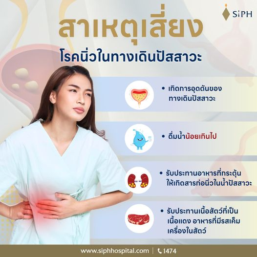 SiPHHospital's tweet photo. สาเหตุเสี่ยงที่ควรรู้...โรคนิ่วในทางเดินปัสสาวะ
สกัดก่อนลุกลาม
#ระบบทางเดินปัสสาวะ #นิ่ว #ศูนย์ทางเดิมปัสสาวะ
#Keyforcare #กุญแจสำคัญของการรักษา
#SiPH #ศิริราชปิยมหาราชการุณย์ https://t.co/z4mDdLvFc0