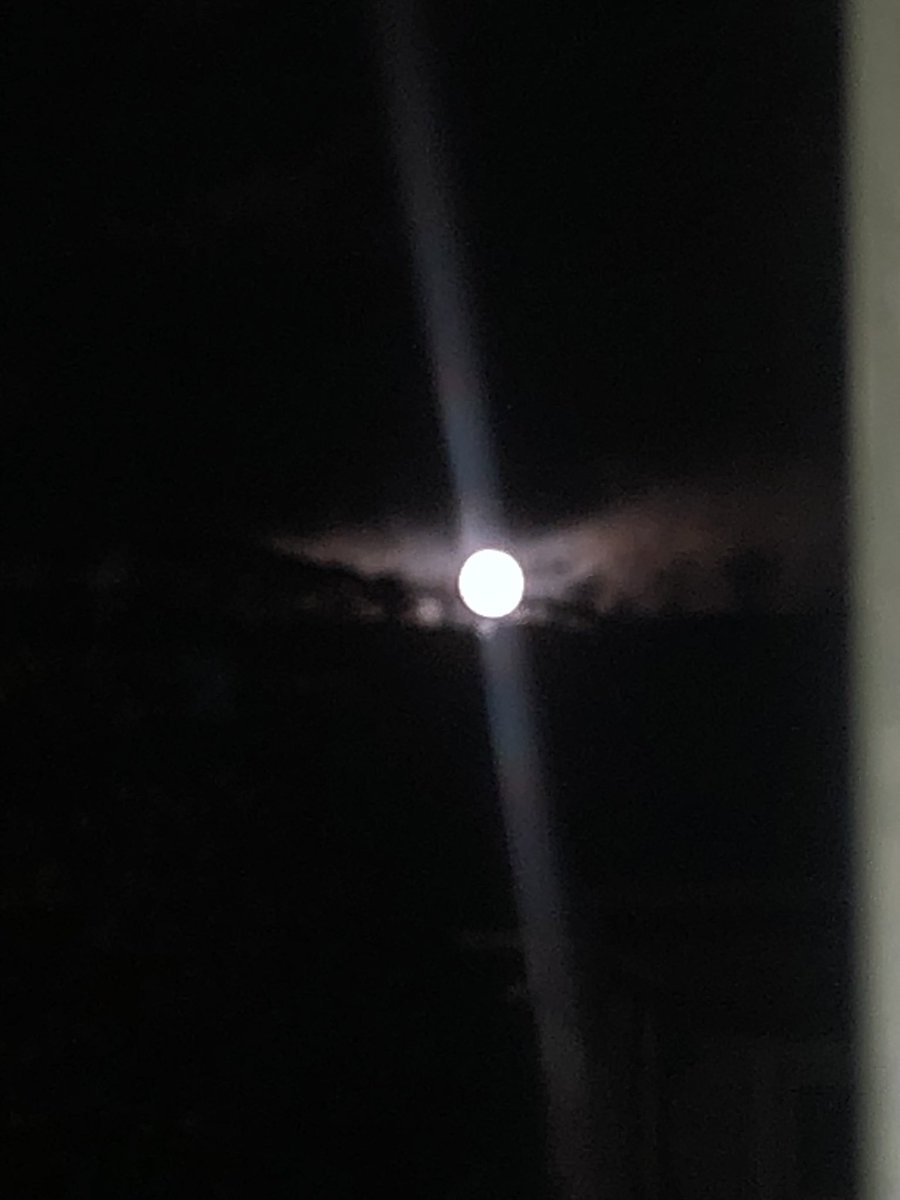 Mr Solomon tweet media