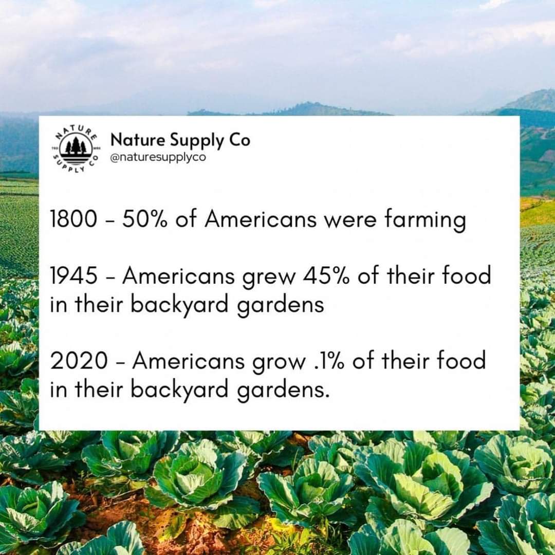 IDJoe4Idaho's tweet image. Might be a good idea to start growing again.
#Agrarian, #Industrial, and #Technological are not incompatible... 
#SelfReliance and #Authoritarianism are.