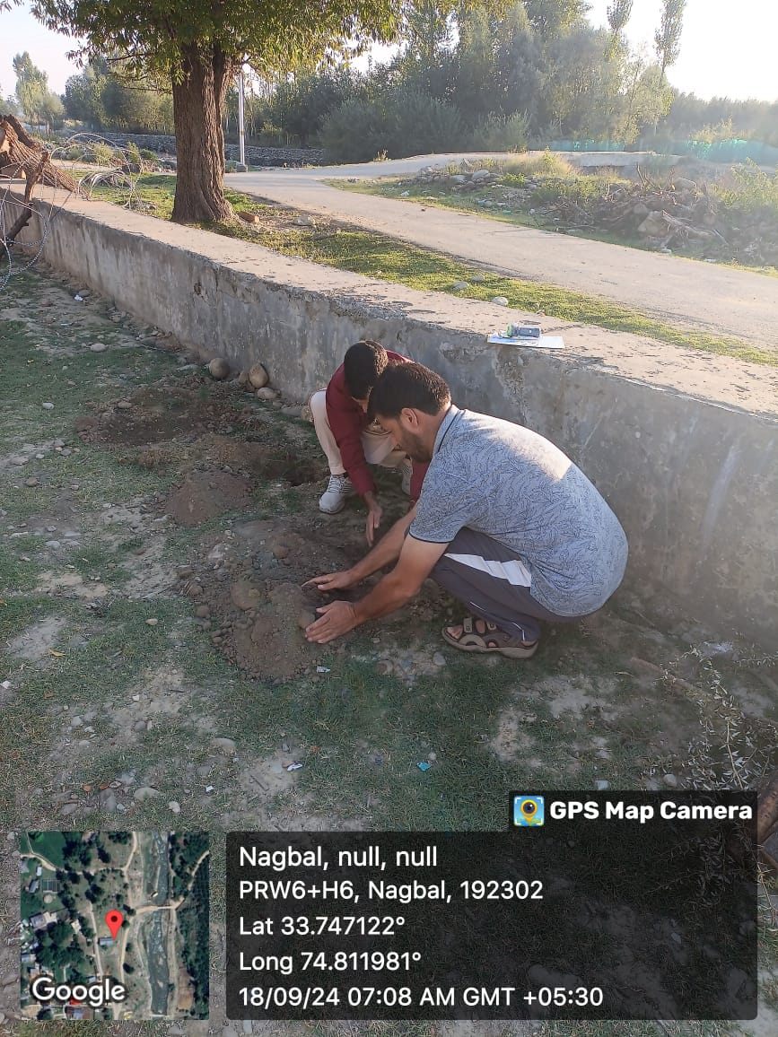 bdo_shopian's tweet photo. Voting underway for 37_Shopian constituency at different polling stations of Block Keller..
First voter being awarded &amp;planted a tree too...

#festiveofdemocracy

@listenshahid 
@diprjk
@dmshopian https://t.co/dSBt4DGYCy