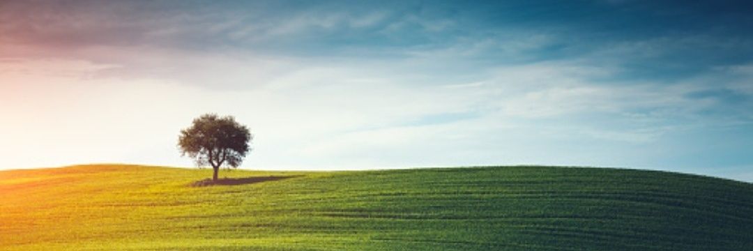 Kirilov (@mr_overthinkin) on Twitter photo 