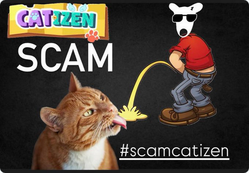 meduza251's tweet photo. @CatizenAI @bitgetglobal stfu scammers #scamcatizen https://t.co/TOx5BhBZA4
