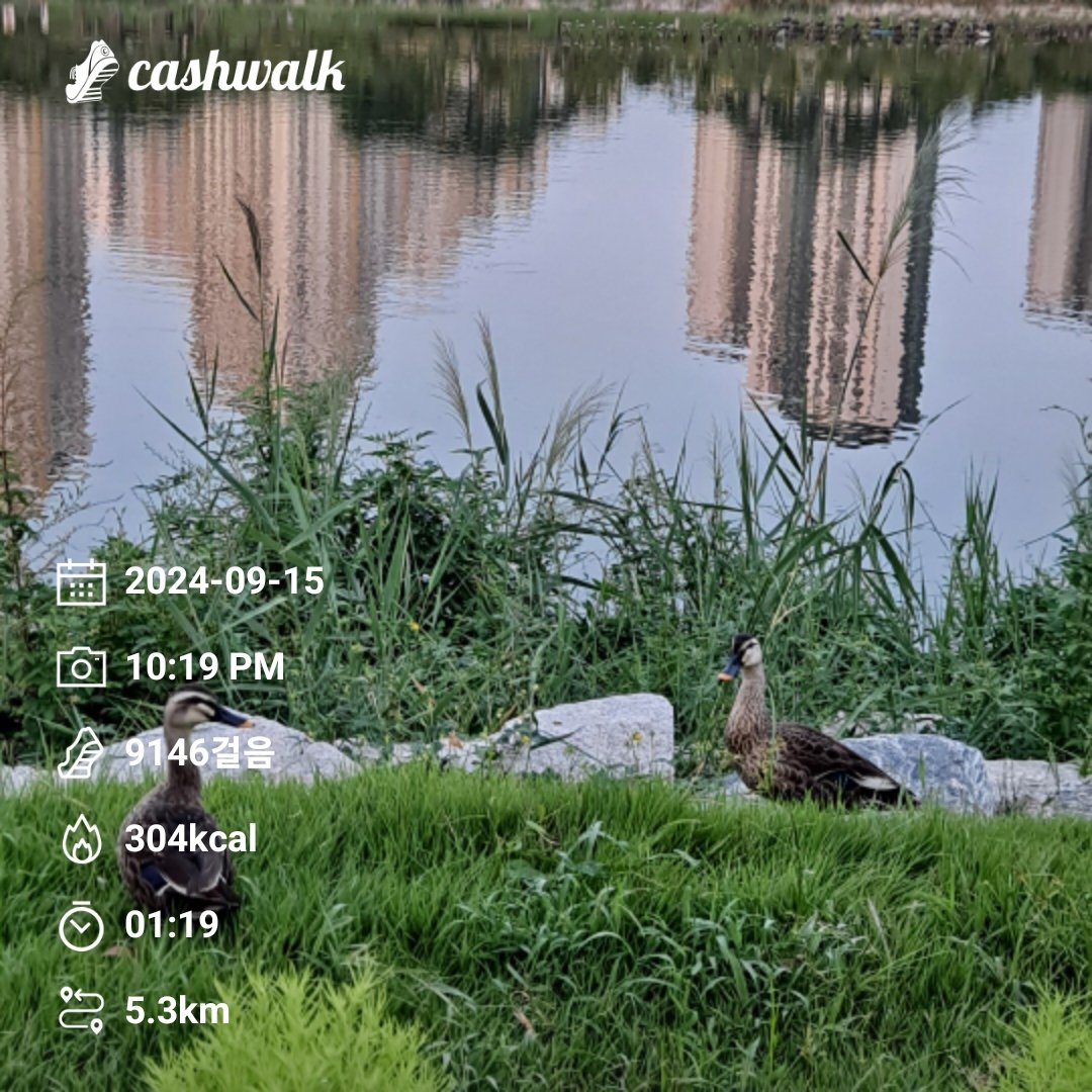 seethrough1b's tweet image. #bugcity
#bugpoly
#gm
@Bug4city
2024년  9,000보