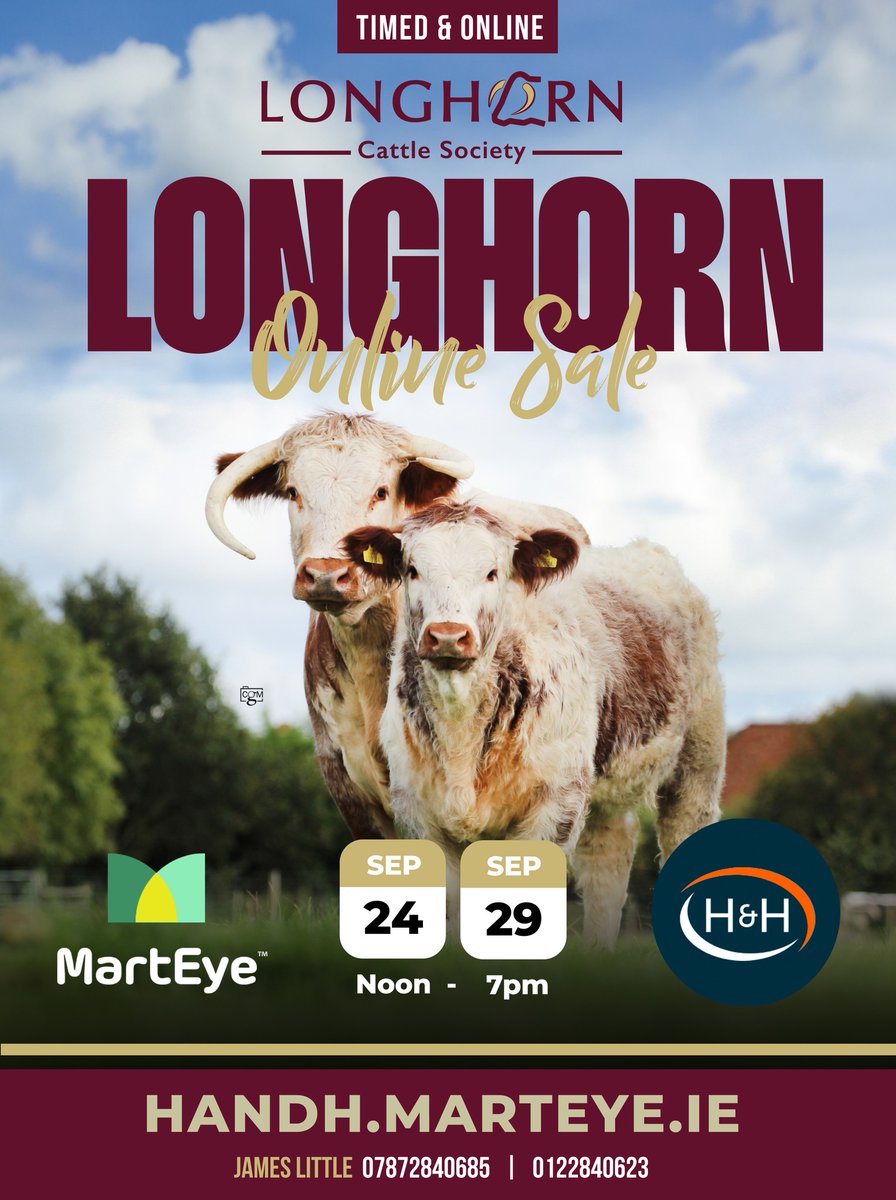 The Society's online sale hosted by Harrison &amp; Hetherington on the Marteye platform is now live for viewing! Cow and calf outfits, heifers of all ages, bulls and semen from noted bulls all available. <a href="/marteye1/">MartEye</a> 

Link here 👇
handh.marteye.ie/sales/NXom3n2V…