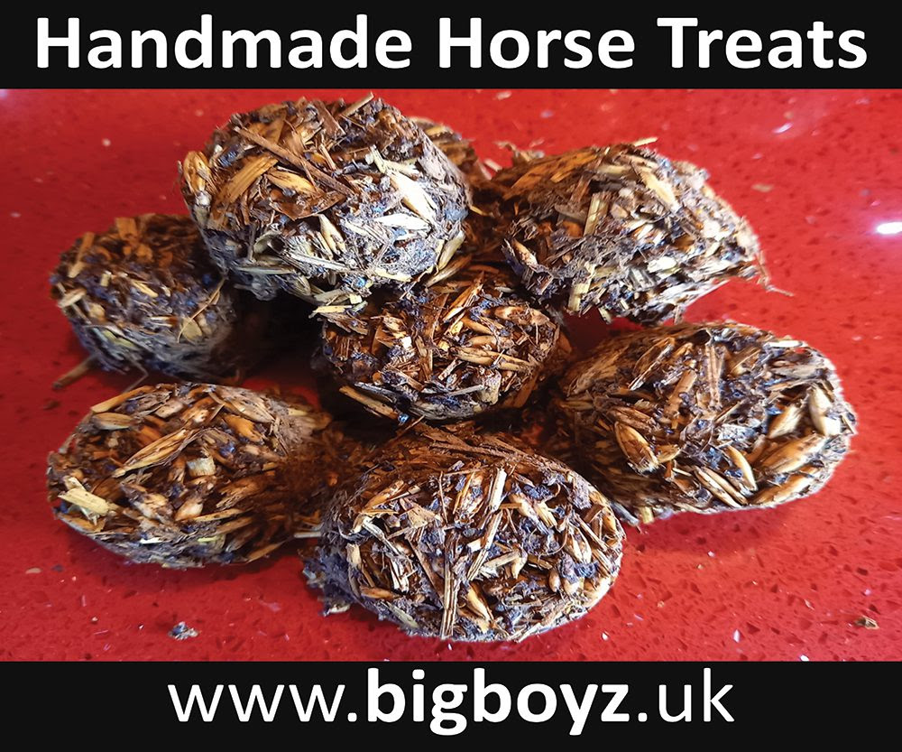 The Healthy option. bigboyz.uk  handmadehorsetreats.com  bigboyzhorsetreats.co.uk  bigboyzhorsetreats.com