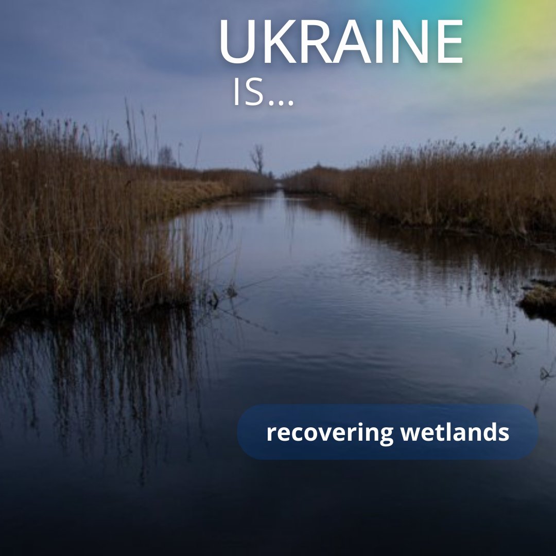 🇺🇦Ukraine is recovering wetlands on former irrigation lands in the Chornobyl reserve.

#Ukraine #recovering #wetlands #Chornobyl