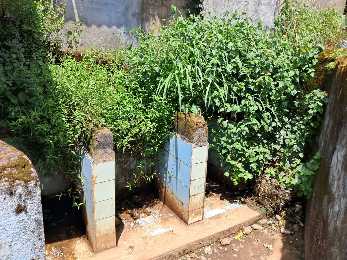 Shekhar_patil75's tweet image. शिक्षणमंत्री साहेब @dvkesarkar ही परिस्थिती आहे एका प्राथमिक शाळतली.. वाघवे, ता. पन्हाळा, कोल्हापूर

आशा अनेक प्राथमिक शाळा आहेत जिथे या प्राथमिक सुविधा सुद्धा नीट नाहीयेत. कृपया आपण याची दखल घेऊन संबंधितांना याबाबत लक्ष द्यायला सांगाल अशी अपेक्षा..
#कोल्हापूर #kolhapur #zpschool