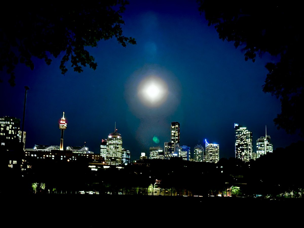 A gorgeous evening walk in Sydney.