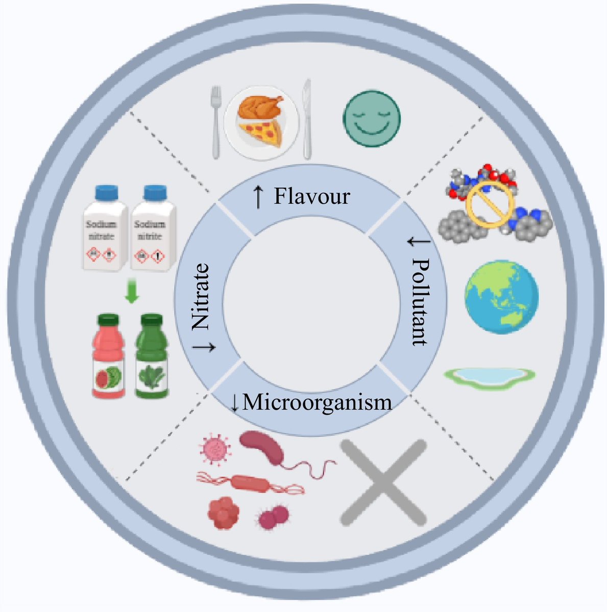 MaximumAcademic's tweet image. #FMR 

🌿 Natural plant extracts (NPEs) boost meat quality by reducing oxidation and inhibiting microbes. 

A meta-analysis reveals their impact on safety and preservation.

@FoodAdvance1 #FoodScience #NaturalAdditives 

Details: doi.org/10.48130/FMR-2…