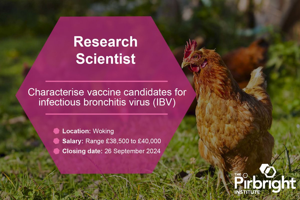 JOB: Apply innovative technologies for improved control of a major avian pathogen, the gammacoronavirus infectious bronchitis virus (IBV).

We're looking for a Research Scientist ➡️pirbright.ac.uk/jobs/research-…