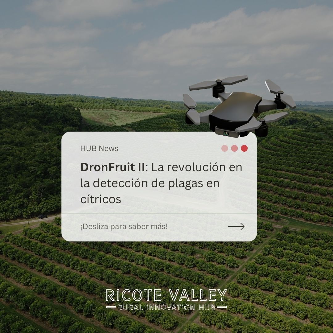 Ricote Valley Hub tweet media