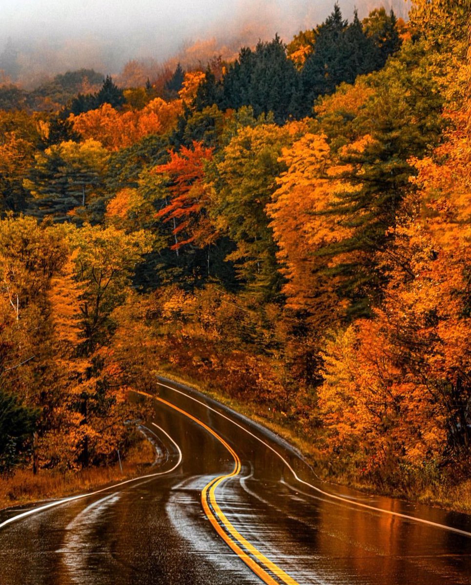 earthcurated's tweet photo. Rainy days in New England 🌧️ https://t.co/lpFotSr2Qo