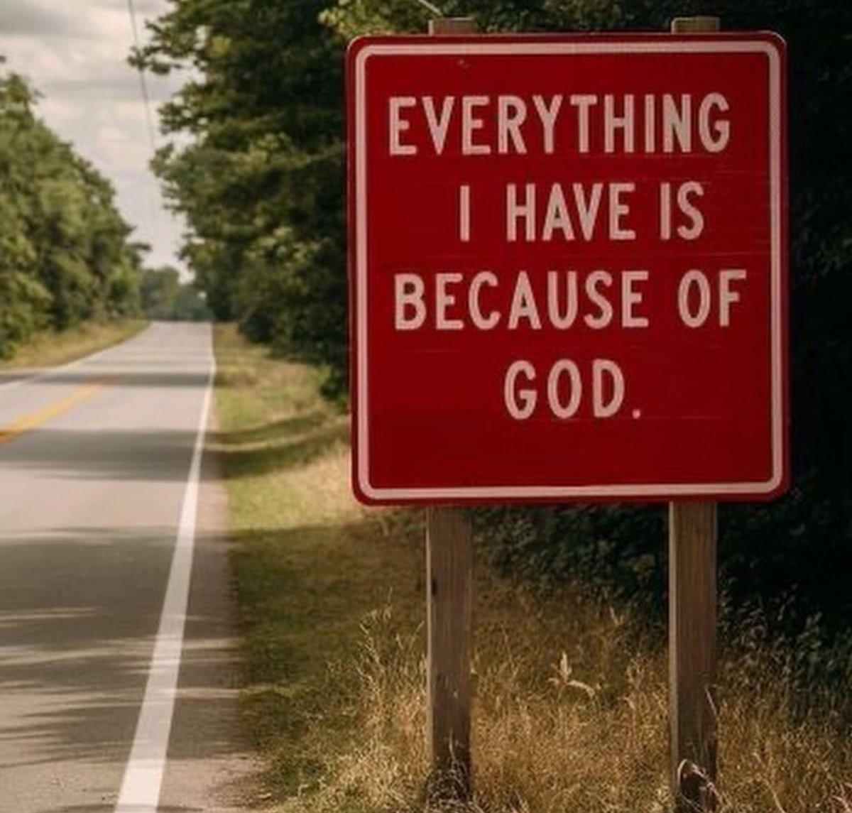 educatedhustler's tweet image. 