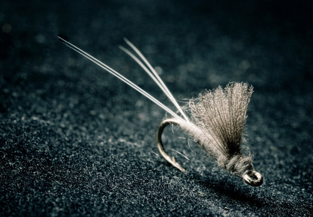 RS2 – One of My Favorite Picky Trout Fly Patterns dlvr.it/TDNBXz