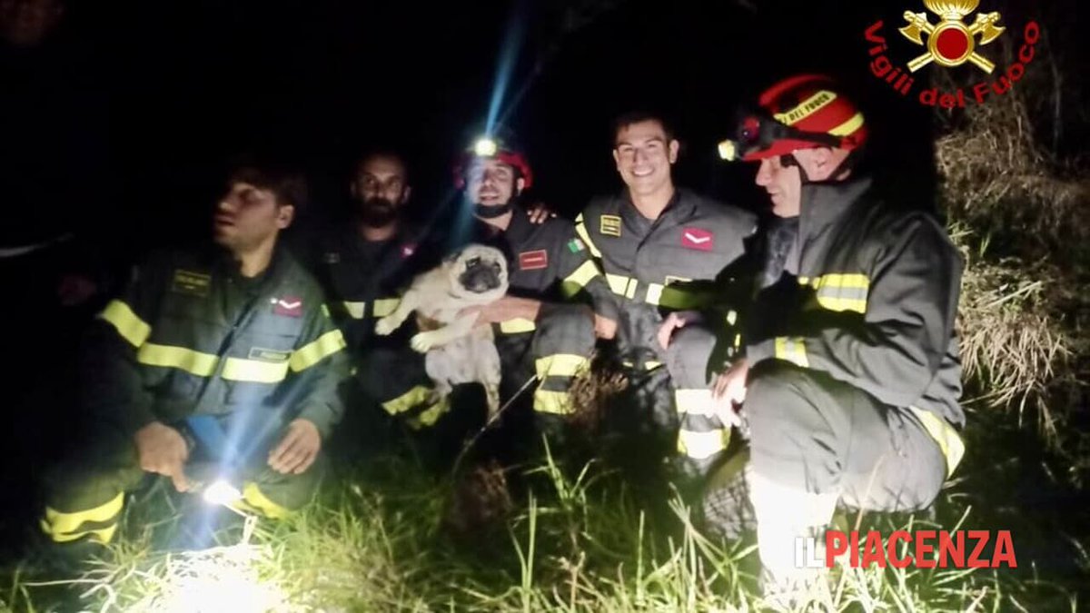 Cane disperso nei boschi a Coli ritrovato dai vigili del fuoco: Il recupero nella serata del 17 settembre nei boschi di Canneto di Coli dlvr.it/TDNBYz