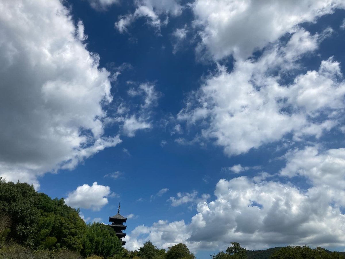 redleaves6's tweet photo. ３歩進んで2.7歩下がる日々。涼しさが待ちきれず チャリでこちらから探しに､､暑っ､､でも熱風と涼風が面白いくらいきちんと交互に流れとる。涼しさ 予報じゃあと2日。ここ数日の空の 地球の美しさ､､なのに戦の悲しさ虚しさ。はい逃避終了。
#autamn #秋 https://t.co/kcMUnFROwh