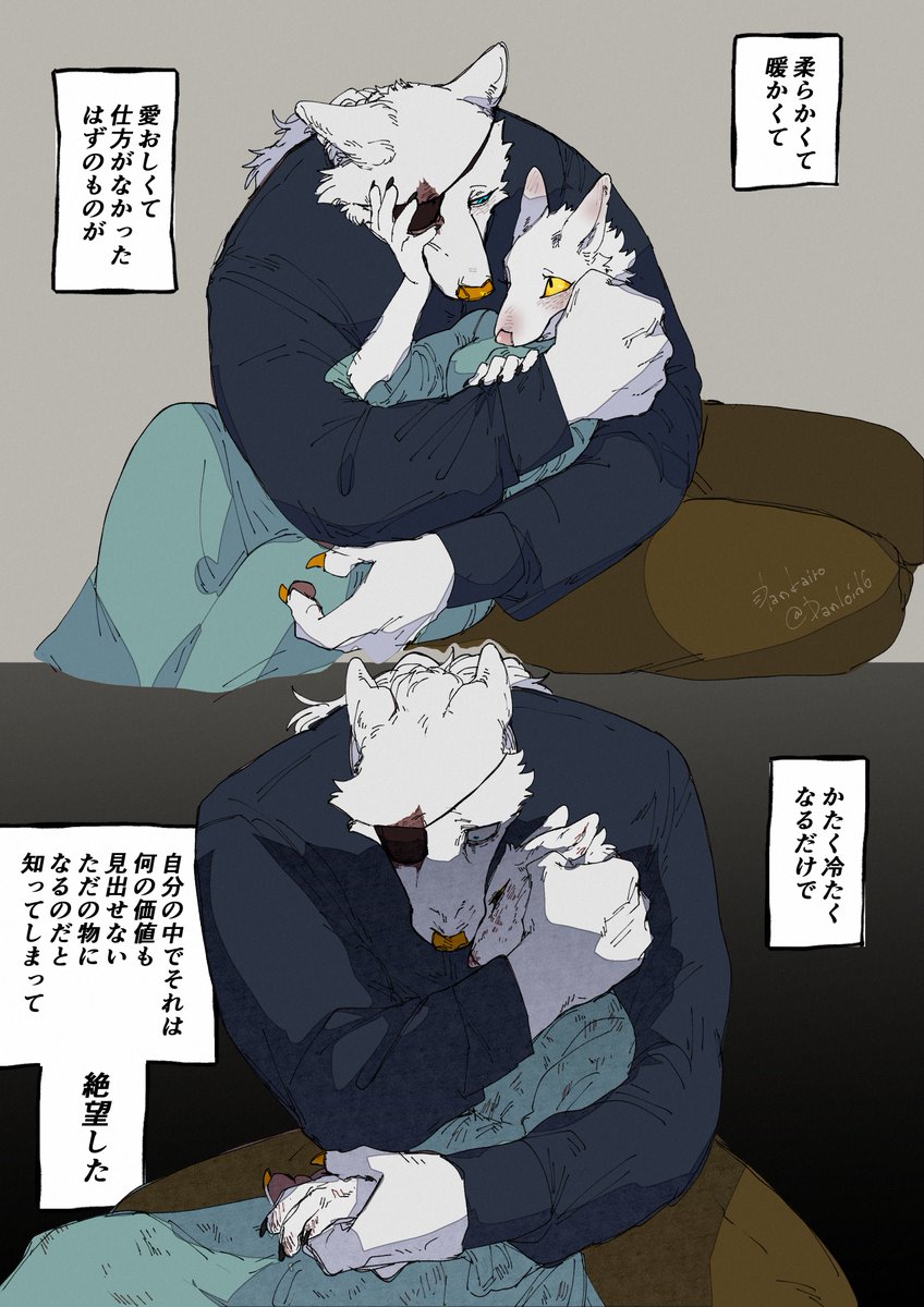 暖ｶｲ炉 tweet media