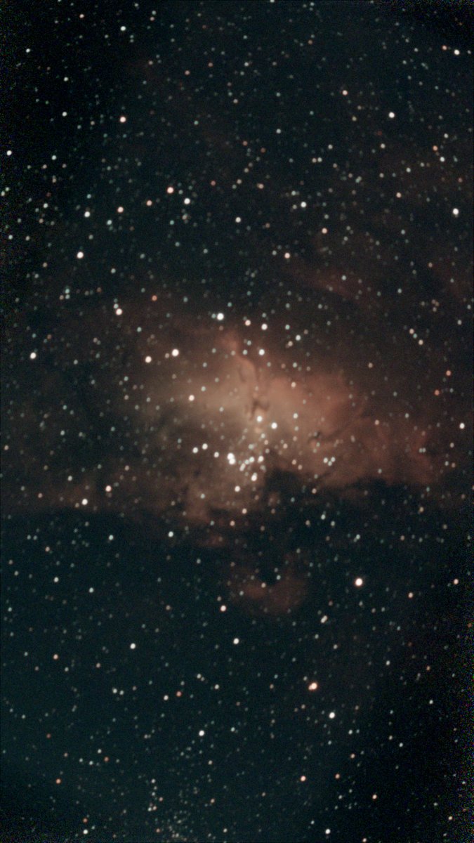 Andy Carroll tweet media