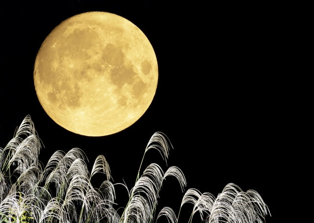 偶然、このツイートを見かけた方、幸運です🍀
何故なら今日は満月🌕
それは太陽、地球、月は一直線に並ぶ時。 
3つの星が並ぶことで宇宙のエネルギーが強くなります。
そして、あなたの『心の奥底に秘めた強い想い』の願いが叶いやすいといわれます。