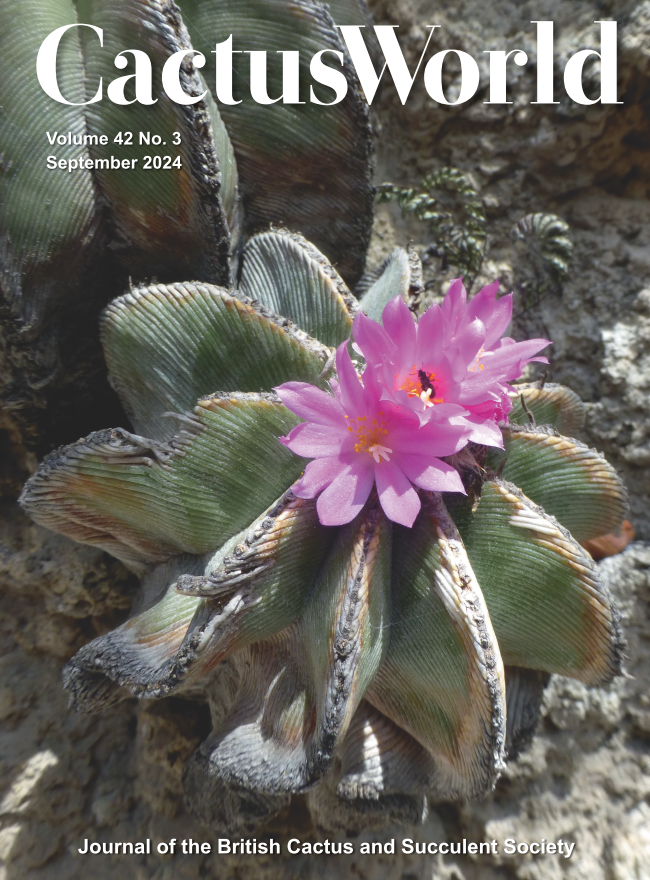 CactusWorld - September 2024 Front cover: #Aztekium hintonii This cactus  comes from Mexico and is found growing on steep cliff faces that consist  mostly of gypsum and often some limestone gravel. It