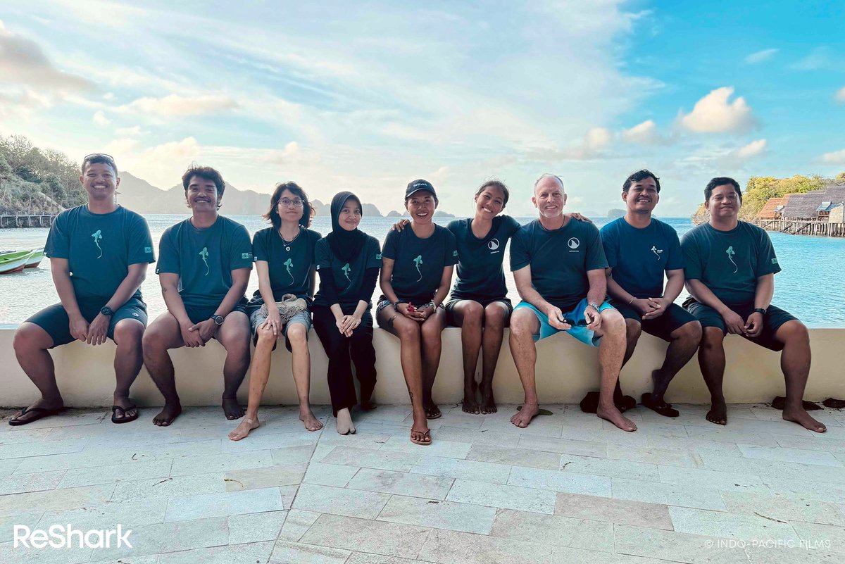 All smiles from Misool as we bid farewell to Taran, Charlotte, &amp; Dawn — the first three leopard sharks released this year! 🦈