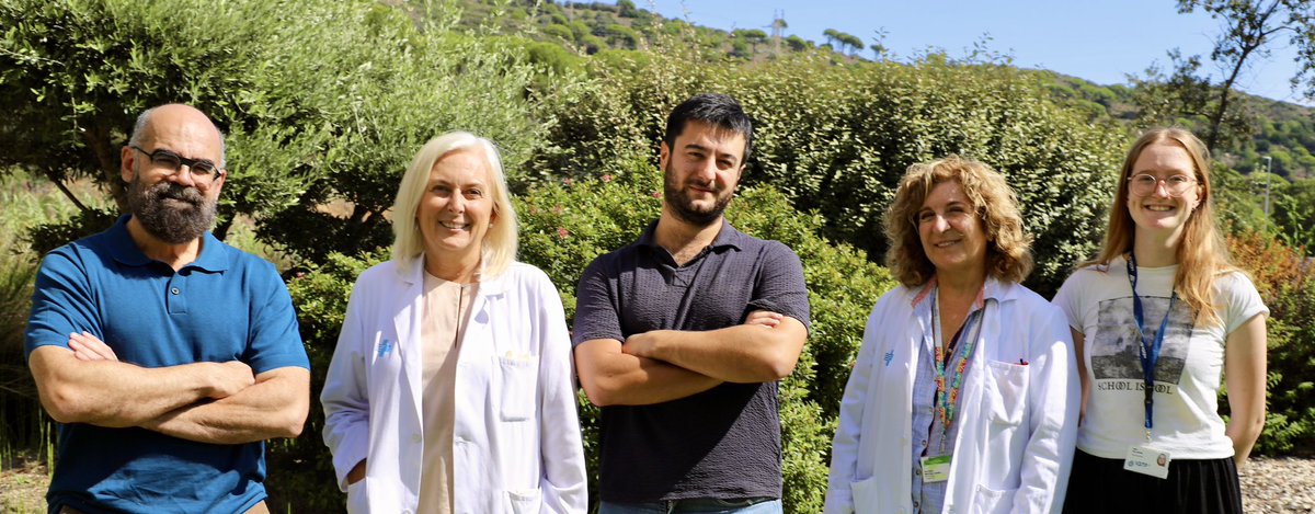 Esteban Ballestar (@eballestar) on Twitter photo Don't miss our collaborative study proposing combined therapy for #MultipleSclerosis Targeting #AhR w/ #DMF restores #tolerogenic #DendriticCells properties | A basis for new clinical trials <a href="/FedericoFonde/">Federico Fondelli</a> <a href="/Eva_M_C/">Eva Martínez-Cáceres</a> <a href="/GTRecerca/">IGTP</a> <a href="/CarrerasIJC/">Josep Carreras Leukaemia Research Institute (IJC)</a> <a href="/hgermanstrias/">Hosp. Germans Trias</a>
jci.org/articles/view/… Don't miss our collaborative study proposing combined therapy for #MultipleSclerosis Targeting #AhR w/ #DMF restores #tolerogenic #DendriticCells properties | A basis for new clinical trials <a href="/FedericoFonde/">Federico Fondelli</a> <a href="/Eva_M_C/">Eva Martínez-Cáceres</a> <a href="/GTRecerca/">IGTP</a> <a href="/CarrerasIJC/">Josep Carreras Leukaemia Research Institute (IJC)</a> <a href="/hgermanstrias/">Hosp. Germans Trias</a>
jci.org/articles/view/…