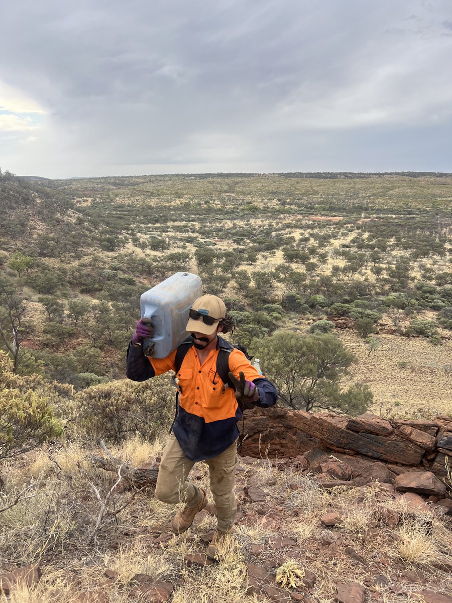 EasternMetals tweet media