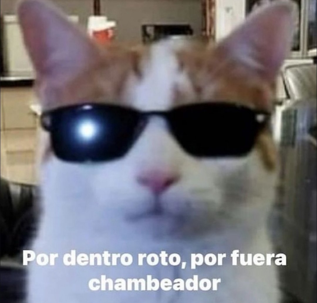 En Júpiter (@en_jupiter_) on Twitter photo 