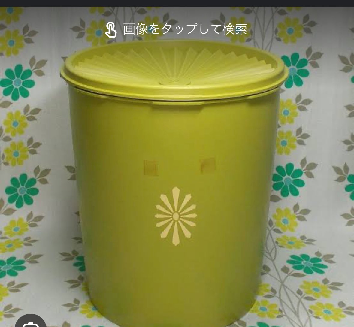 playerpiano's tweet photo. タッパーウェア社破産のニュースで、あれはマルチだったことを知った。実家にもあります。わたしがまだ小学生ぐらいの時、母は所謂ママ友がいなくて孤独で、同級生の母親に誘われた料理教室でタッパーを買ってた記憶。マルチは心の隙間に入り込むのよ。 https://t.co/miizwQLQVY