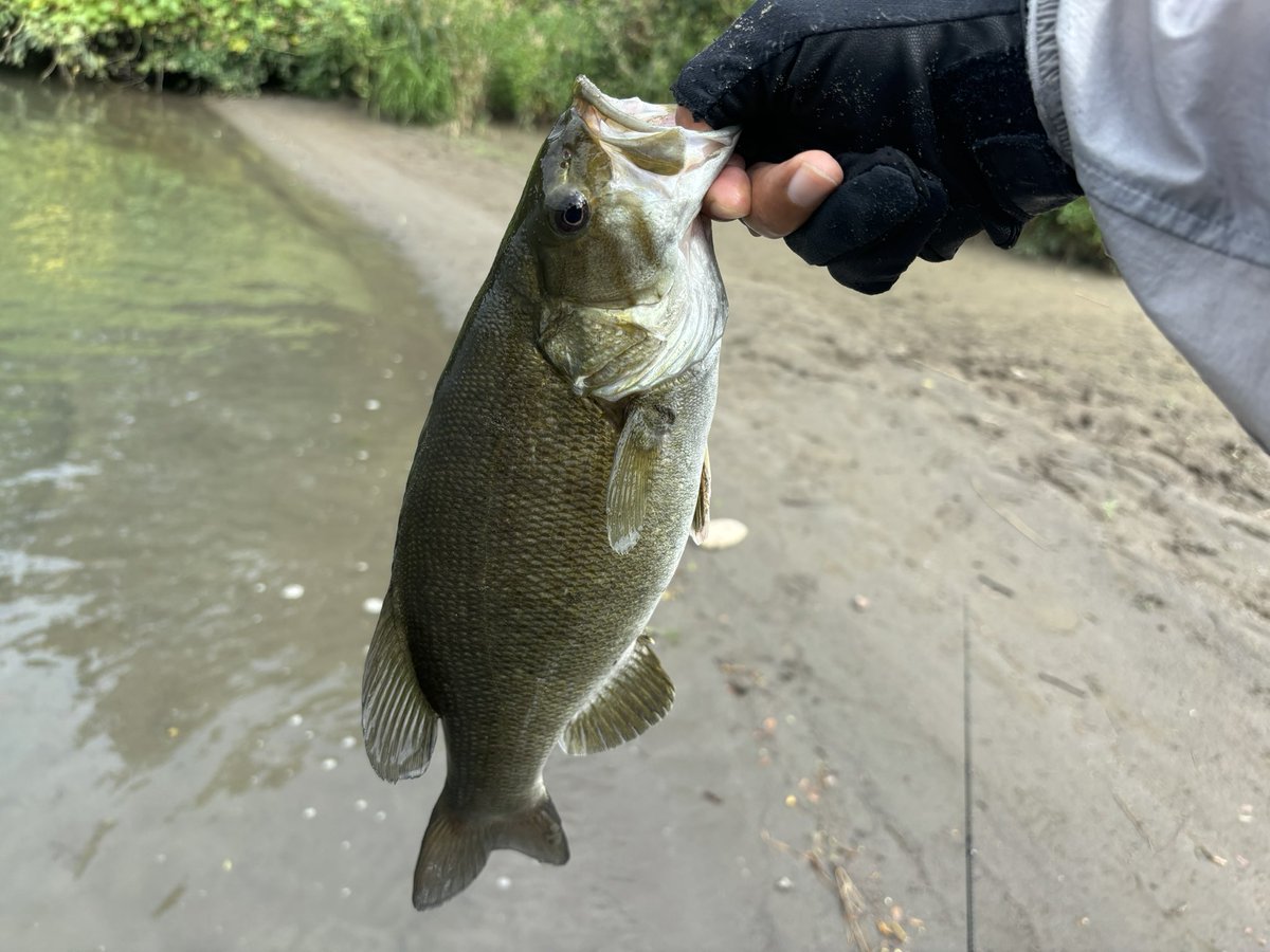釣れたので帰ります！