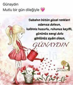 Zafer kiraz (@kiraz71603) on Twitter photo 