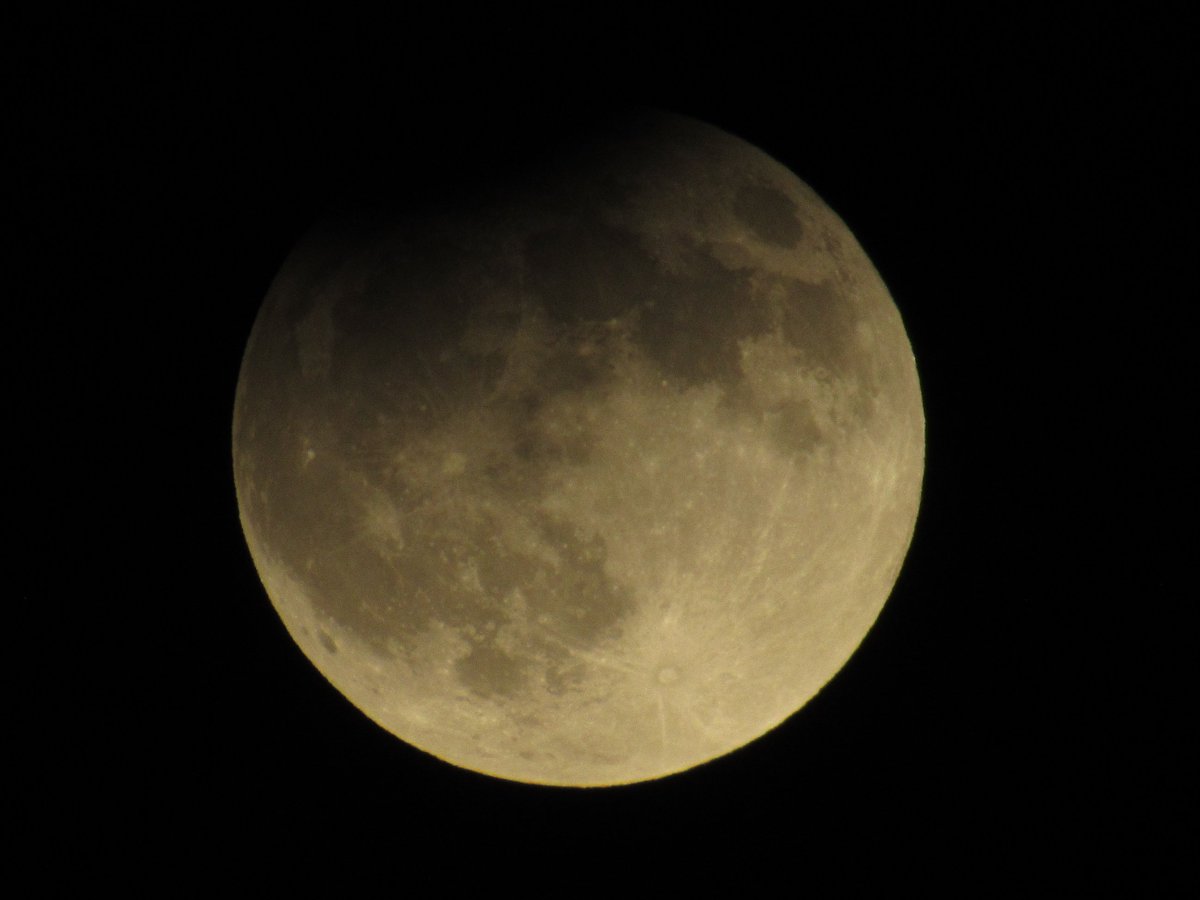 Fon 🏈 tweet media