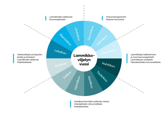 Syys-lokakuussa Voimalohi istuttaa luonnonoloissa kasvattamansa vaellussiiat ja harjukset Kemi- ja Iijoen meri- ja sisävesialueille. Lammikkoviljely on tärkeä osa velvoiteistutusten toteuttamista ja luonnon monimuotoisuuden säilyttämistä. Lue lisää: bit.ly/4dgAZcl