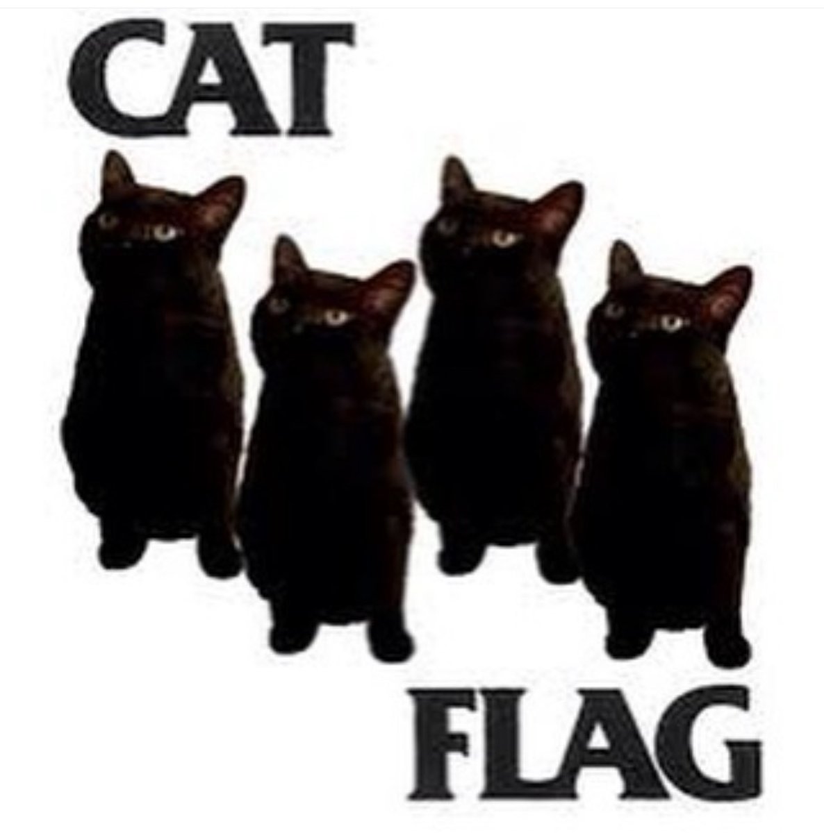 𝗚𝗘𝗡𝗘𝗥𝗔𝗧𝗜𝗢𝗡 𝗢𝗙 𝗦𝗖𝗔𝗥𝗦 tweet media