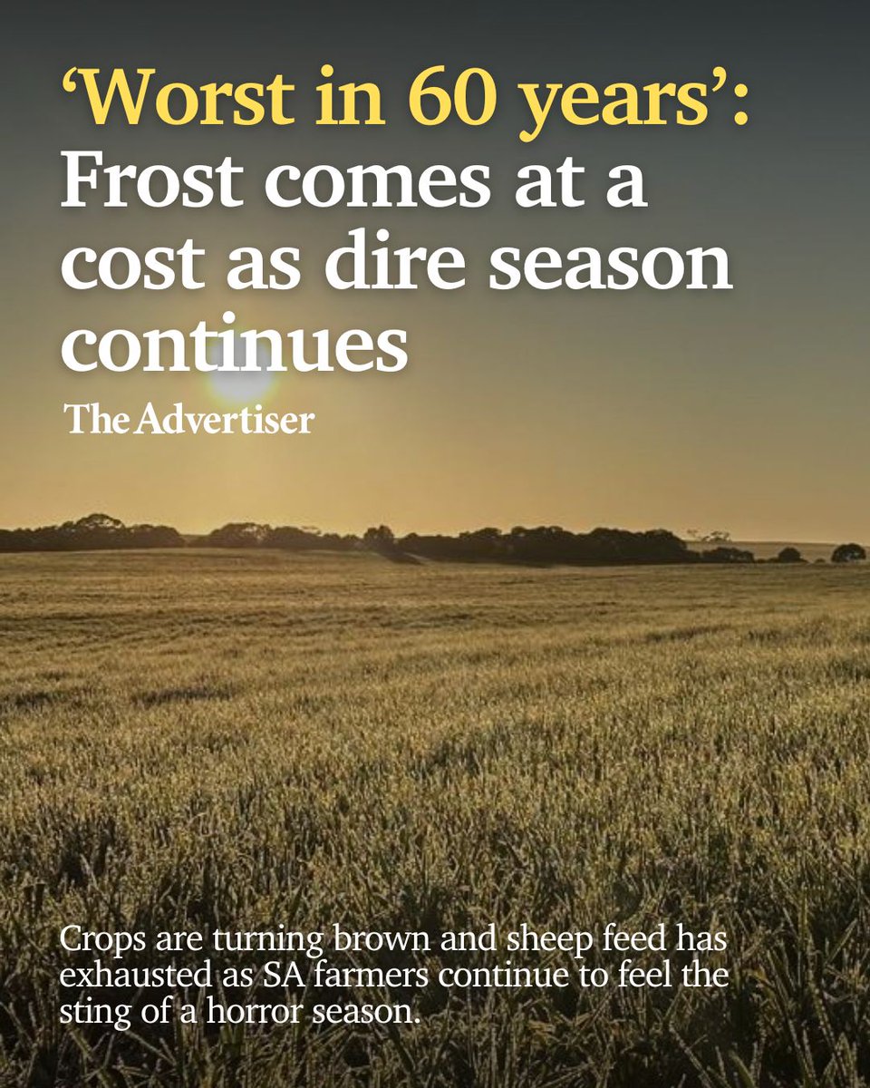 The severe frost events this week in agricultural areas were yet another blow for farmers already dealing with a historically dry start to the year 💔

🔗 Read more: bit.ly/4d5Ss7z