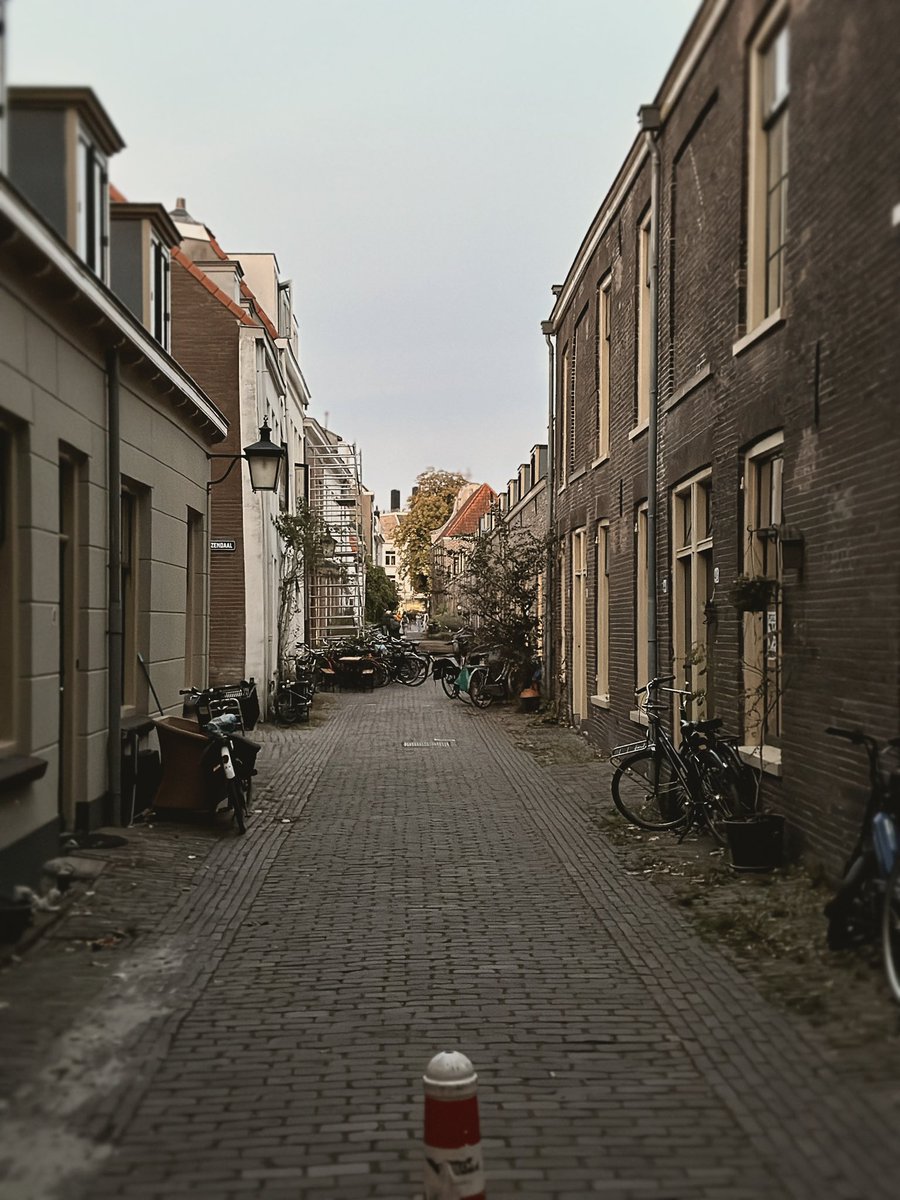 MooseHXC tweet media