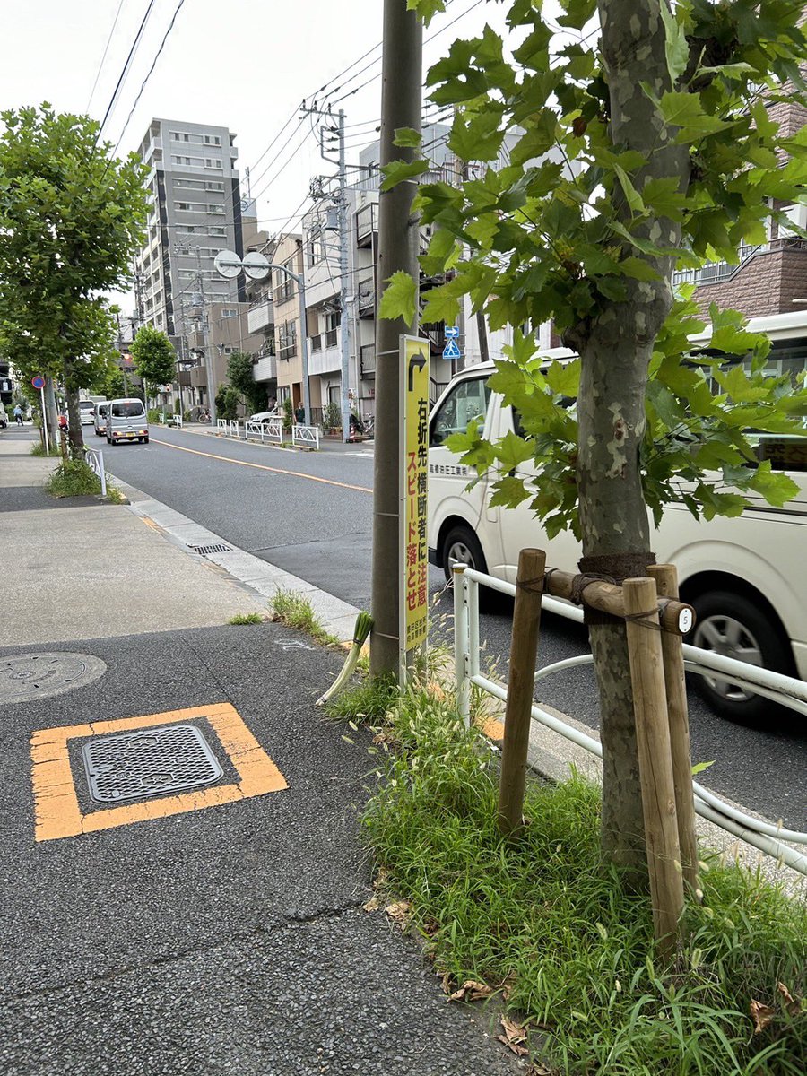 ネギ落ちてた。