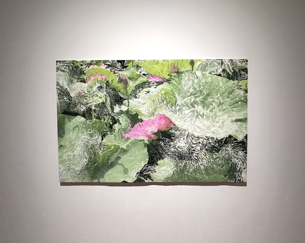 TokyoArtBeat_JP's tweet photo. 「Nerhol 水平線を捲る」（千葉市美術館）レポート 

対話と紙を積み重ねてきたアーティストデュオのこれまでと新たな1ページ

重要作や未発表作に加え、千葉市の歴史や土地と関わりの深い蓮をテーマとした最新作、美術館のコレクションとの“共存”も見どころ
https://t.co/7YNVMiwG7j https://t.co/iRAa9D2ezE